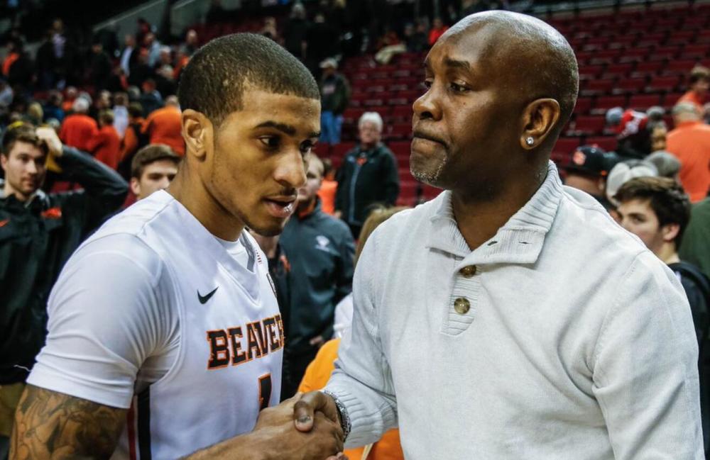 无疑为这个 无疑为这个