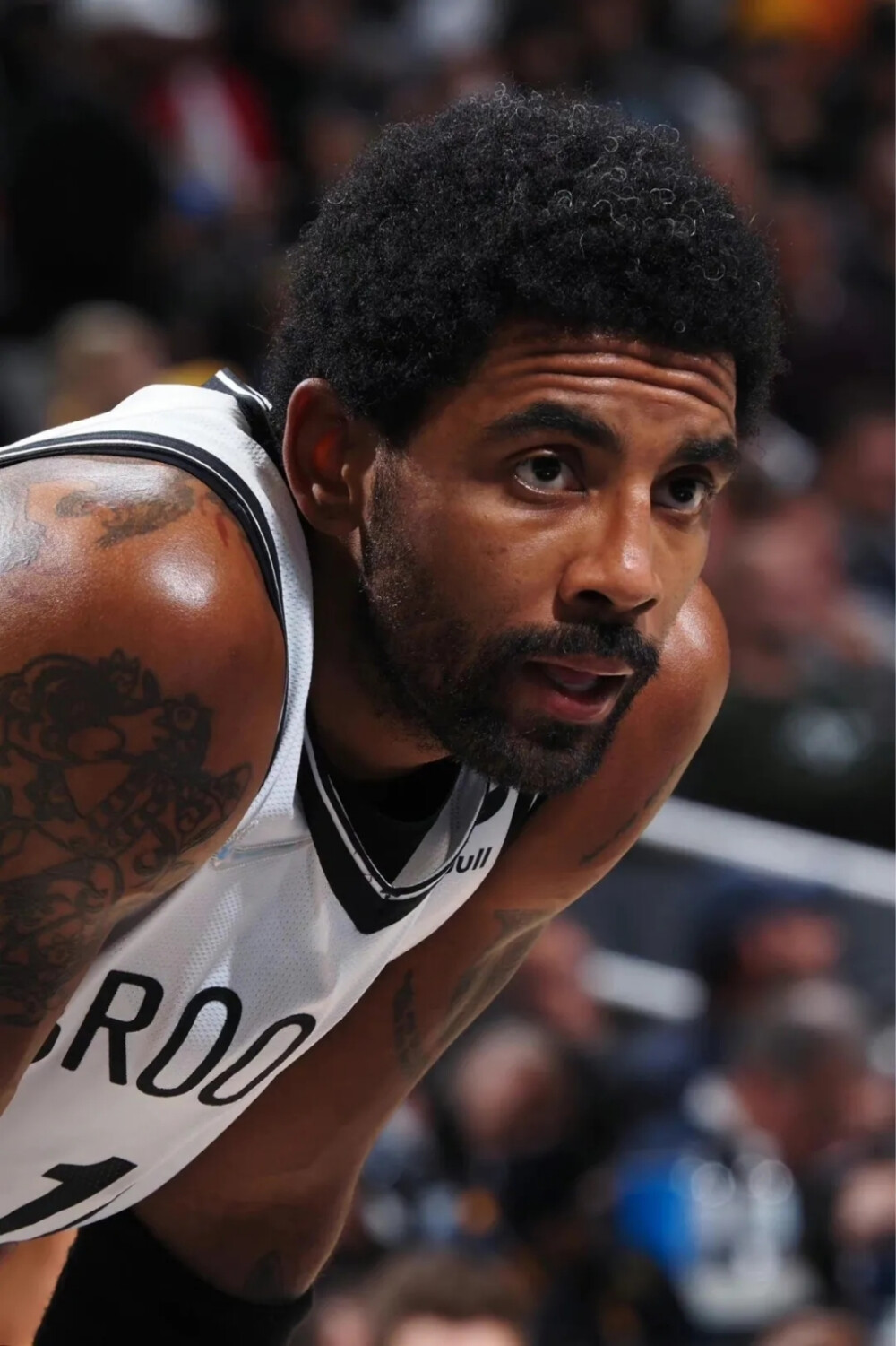 高概率